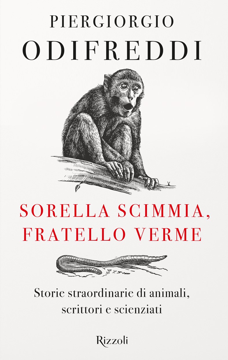 Sorella scimmia, fratello verme (2021)